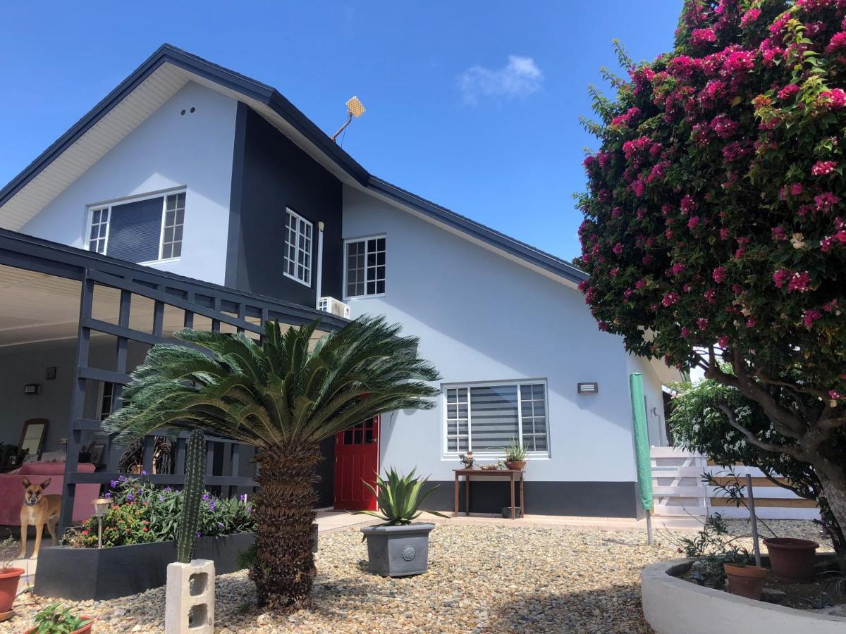 Palmhouse Apartments Aruba 1- 4 Persons Savaneta Kültér fotó