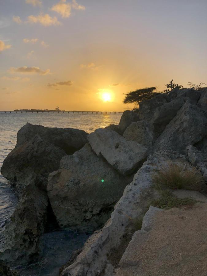 Palmhouse Apartments Aruba 1- 4 Persons Savaneta Kültér fotó