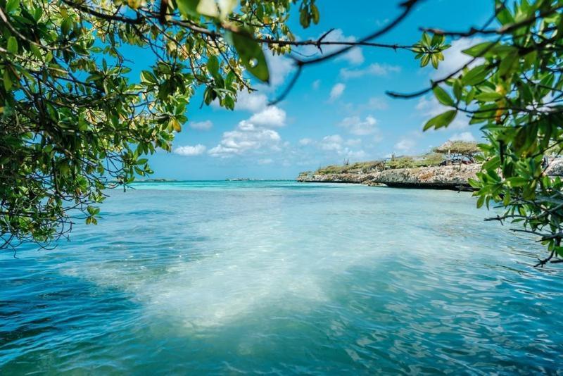 Palmhouse Apartments Aruba 1- 4 Persons Savaneta Kültér fotó