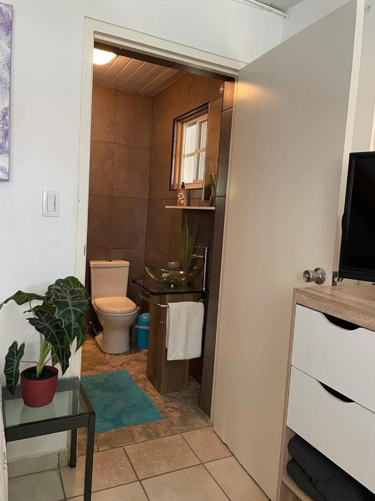 Palmhouse Apartments Aruba 1- 4 Persons Savaneta Kültér fotó