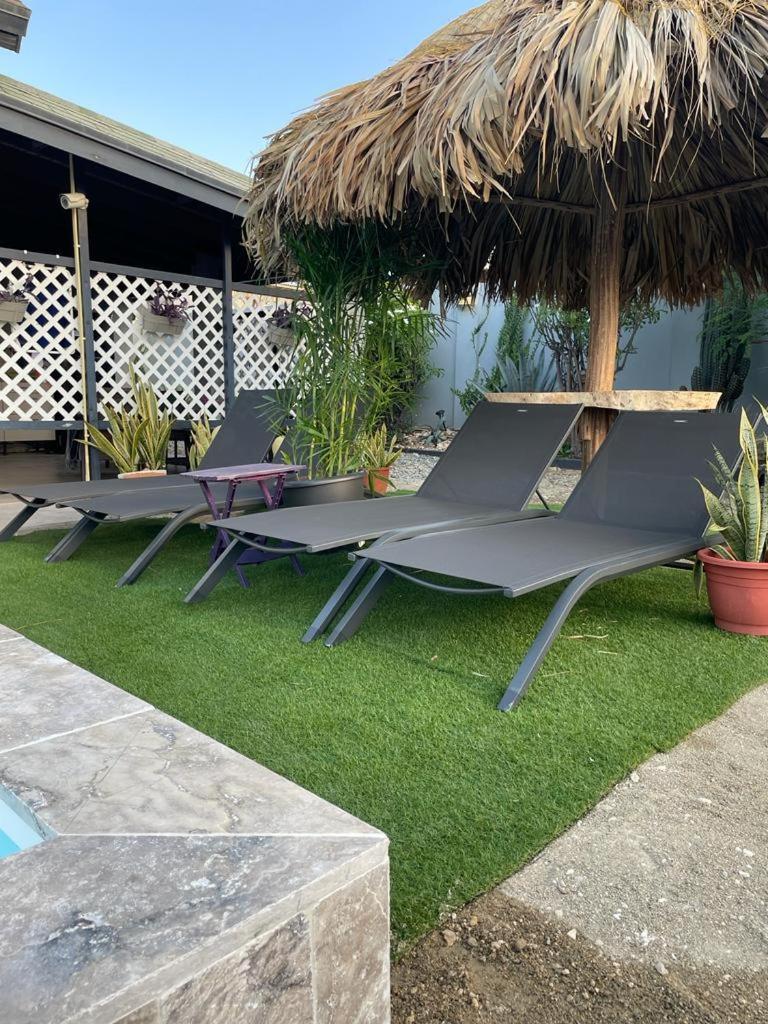 Palmhouse Apartments Aruba 1- 4 Persons Savaneta Kültér fotó
