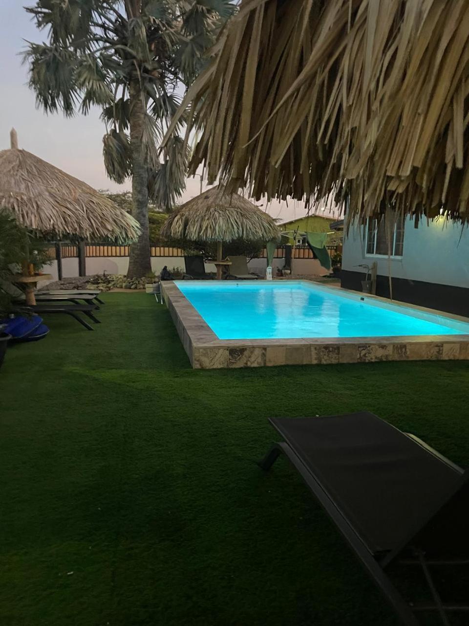Palmhouse Apartments Aruba 1- 4 Persons Savaneta Kültér fotó