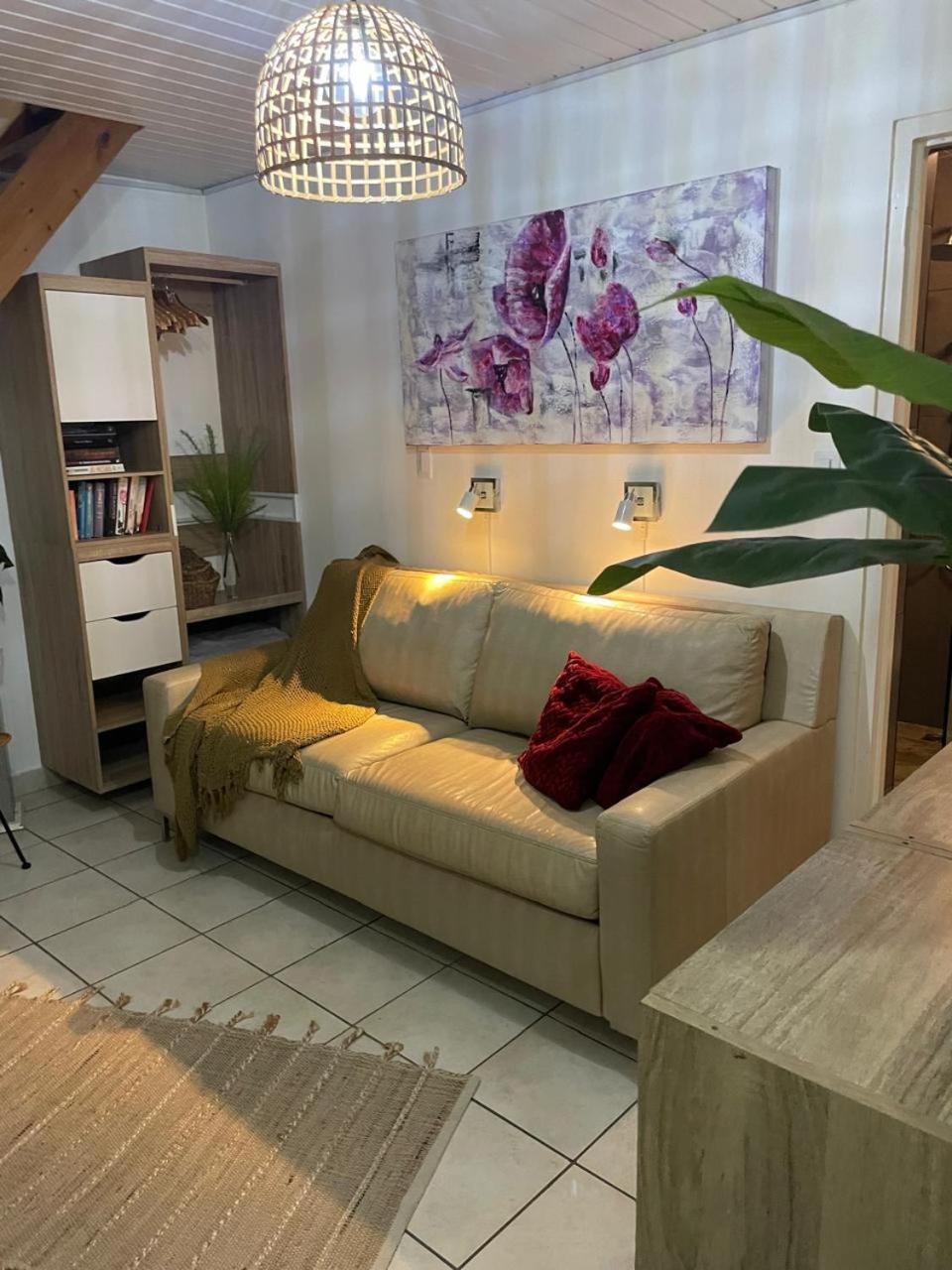 Palmhouse Apartments Aruba 1- 4 Persons Savaneta Kültér fotó