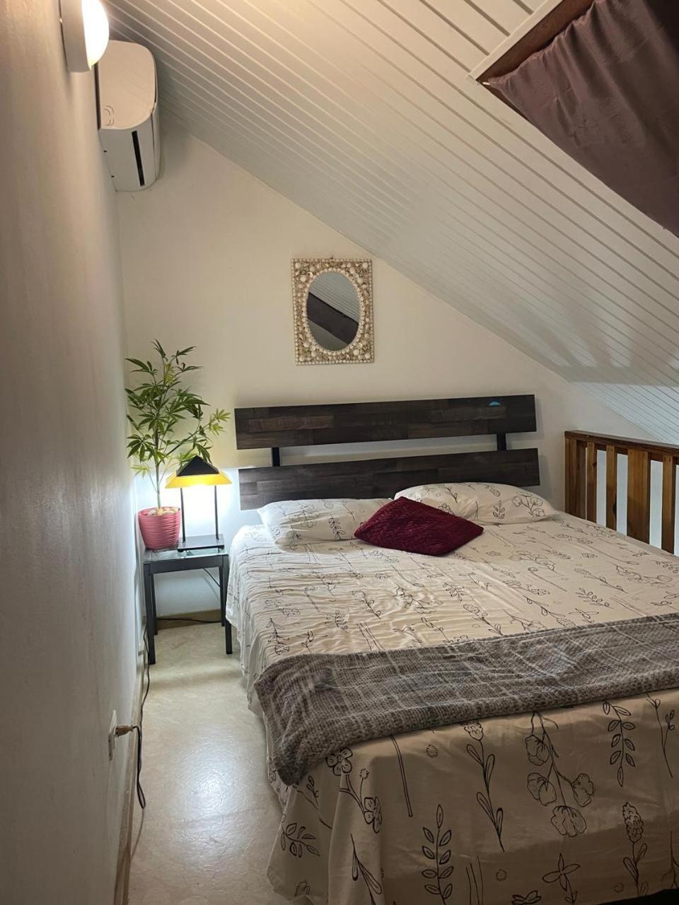 Palmhouse Apartments Aruba 1- 4 Persons Savaneta Kültér fotó
