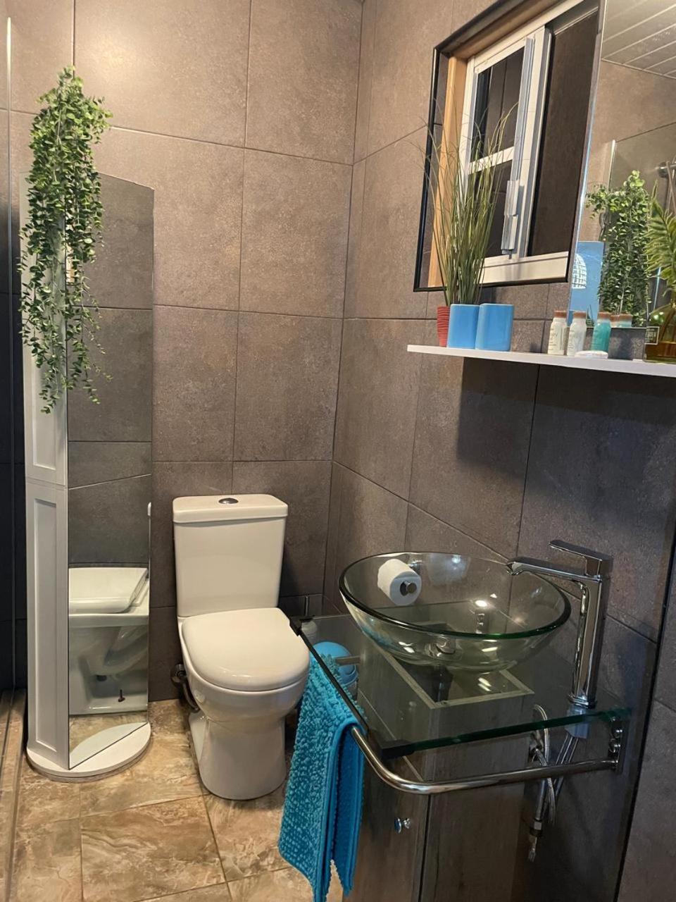 Palmhouse Apartments Aruba 1- 4 Persons Savaneta Kültér fotó